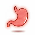 Digestive Health